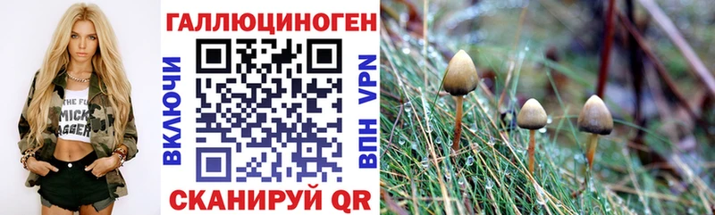 MEGA ONION  Урень  Галлюциногенные грибы Psilocybine cubensis 